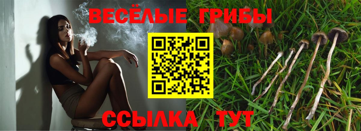 Псилоцибиновые грибы Magic Shrooms Рубцовск