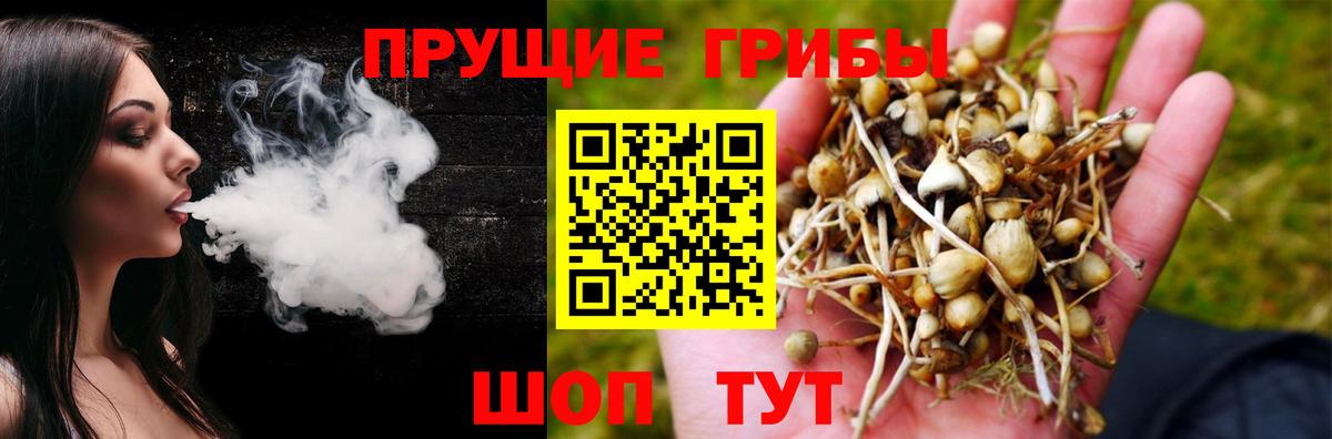 Рубцовск  Псилоцибиновые грибы Cubensis  Вход с VPN 